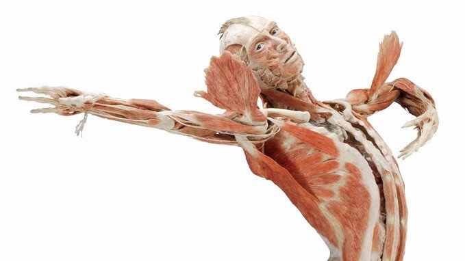 Bratislava · Body Worlds — imaginea 1