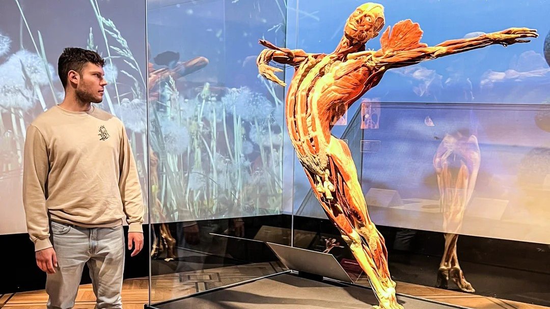 Viena · Body Worlds — imaginea 3